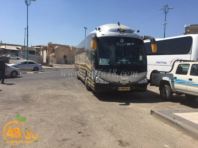 lud mo3tmreajn (3).jpg